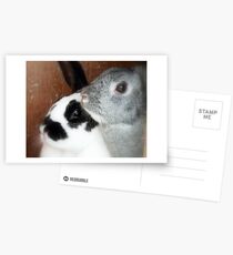 Postales Booie and Dotty
