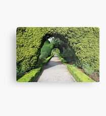 Altamont Gardens Metal Print
