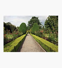 Altamont Gardens view 2 Photographic Print