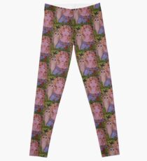 Owl Goddess Leggings