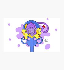 There's A Monkey Hiding In My Mail! Photographic Print