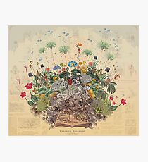 FANTASTIC BOTANICAL Photographic Print