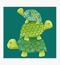 Cute Turtle Stack in Teal, Lime Green and Turquoise Photographic Print