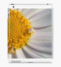 Chamaemelum fuscatum iPad Case/Skin