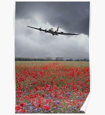 B17 Poppy Pride Poster