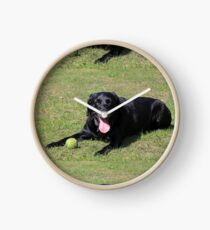 labrador retriever black laying with toy Clock