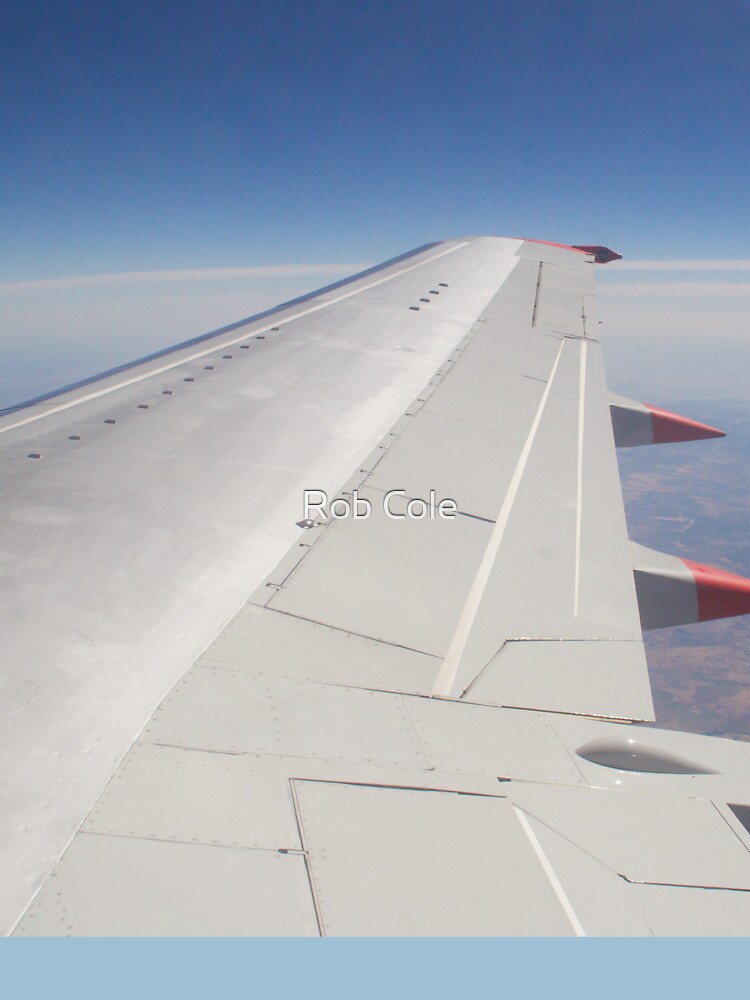 Jet Aircraft Wing In Flight by robcole