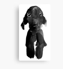 black dog Metal Print