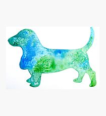Basset Hound Silhouette Photographic Print
