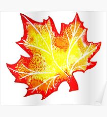 Maple Leaf Poster