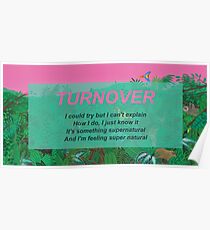 Turnover - Good Nature Poster