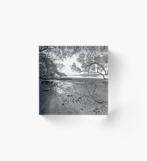 Mangroves Acrylic Block