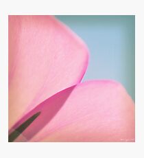 - Nature - Photographic Print