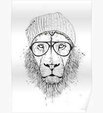 Cool lion (bw) Poster