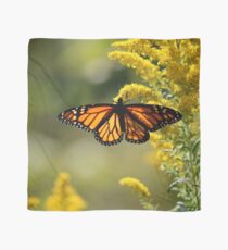 The Monarch and the Golden Rod Scarf