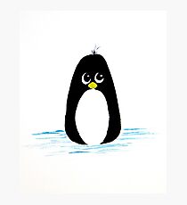 Penguin Cartoon Photographic Print