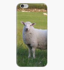Sheep of Llanfairfechan. iPhone Case
