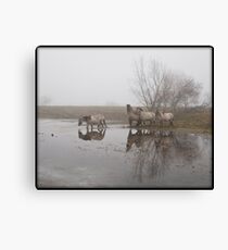 Crossing the water - Part 2 Canvas Print