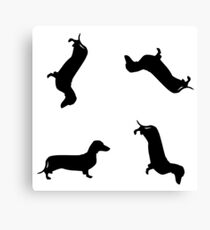 Dachshund Canvas Print