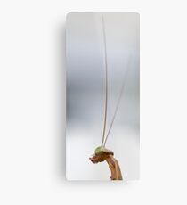 antenna Metal Print