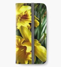 daffodils iPhone Wallet/Case/Skin