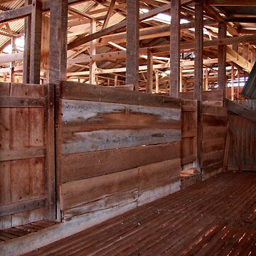 Artwork thumbnail, Shearing shed - holding pen by mistered