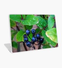 Black Berries........ Laptop Skin