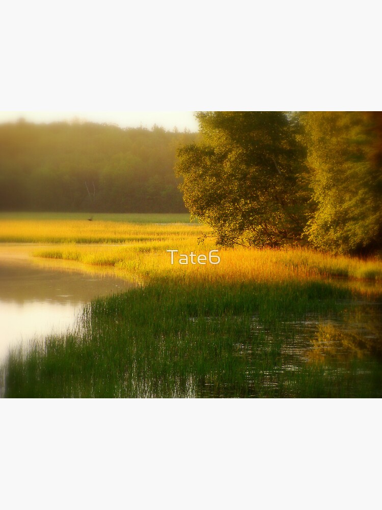 Breathe by Tate6