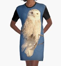Guardian Angel Graphic T-Shirt Dress