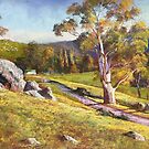 The Road to Worrough by Lynda Robinson