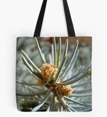 needlepoint Tote Bag