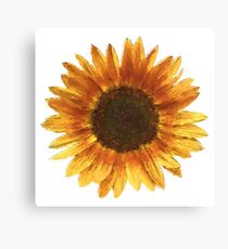 Sonnenblume Leinwanddruck