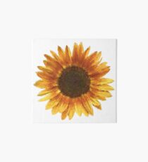Sunflower Art Board Print