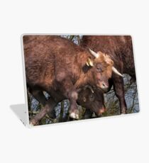 Bulls Laptop Skin