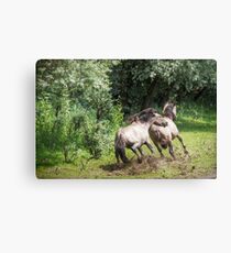 Left ..or.. right Canvas Print