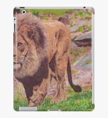 13 iPad Case/Skin