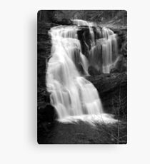 Bald River Falls III Canvas Print