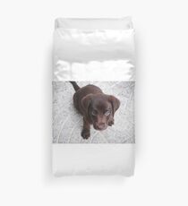 Funda nórdica lindo perro