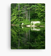 The Water Mirror Canvas Print
