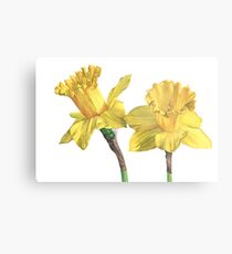 Golden Bonnets Metal Print