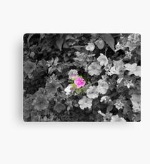 Flower Canvas Print