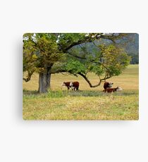 Delegate River Farm Canvas Print