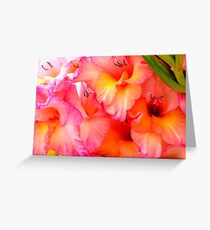 touch me and feel my beauty Greeting Card