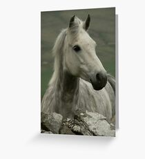 Lilly Greeting Card