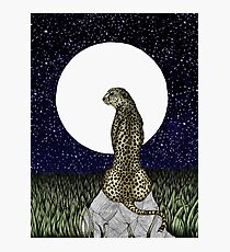 Cheetah Moon II Photographic Print
