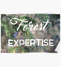 Forest Expertise - Dear Evan Hansen Poster