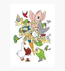 Cuddle All The Birds Photographic Print