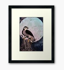 Legends in the Wind Framed Print
