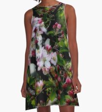 The softness of spring A-Line Dress