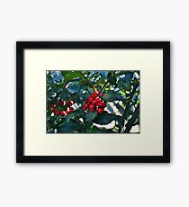 Holly Framed Print